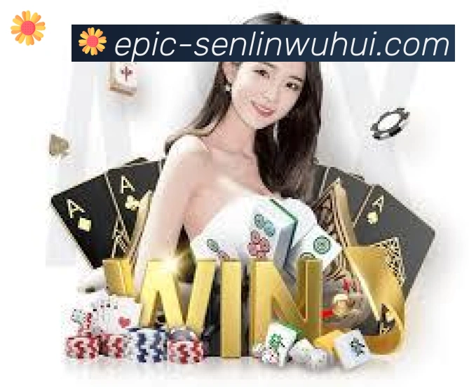 互动解说服务